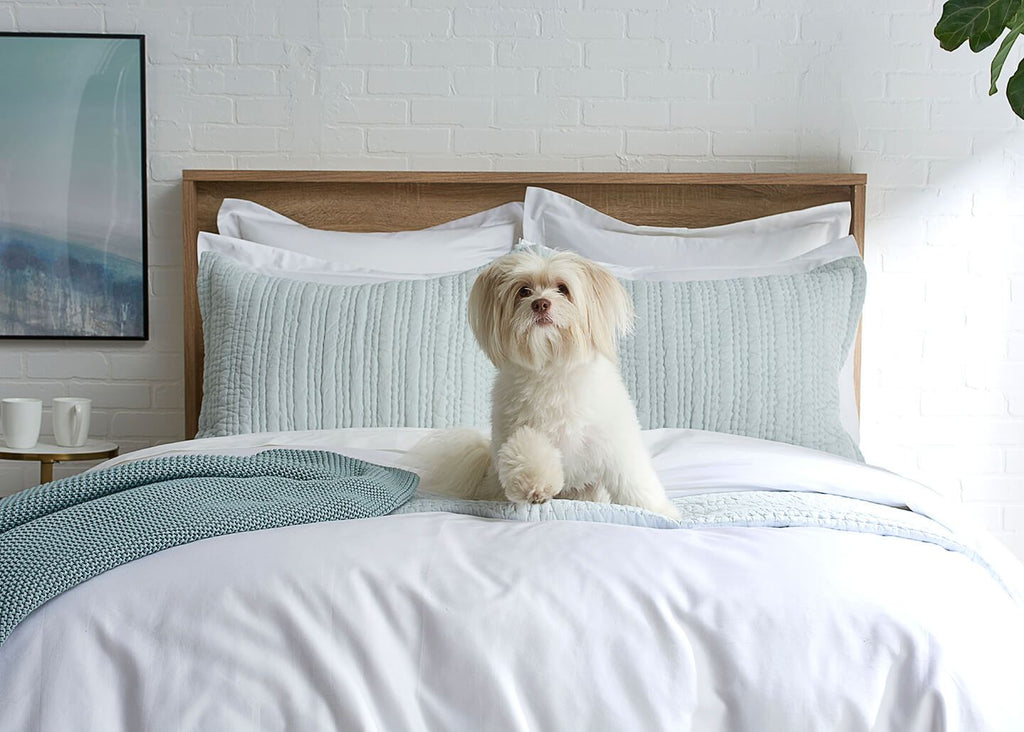 100% Supima Cotton, 500 Thread Count Sateen Solid Duvet Cover