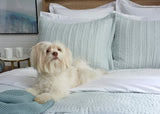 100% Supima Cotton, 500 Thread Count Sateen Solid Sheet Set