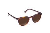 Stanley - Havana Sunglasses